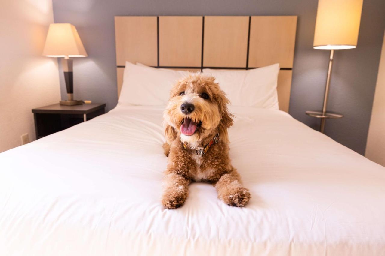 Sonesta Simply Suites Birmingham Hoover Εξωτερικό φωτογραφία